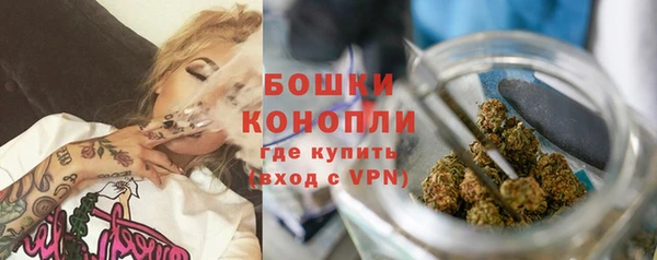 сатива Козловка