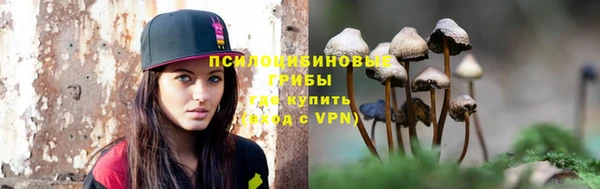 соль ск Кодинск