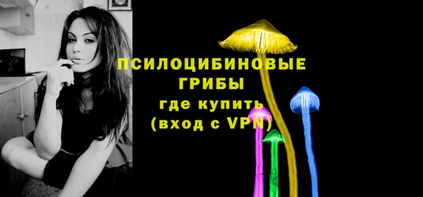 соль ск Кодинск
