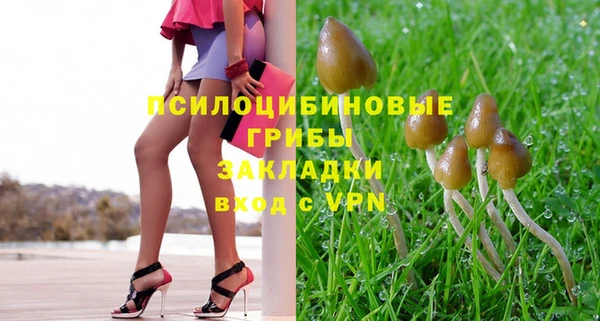 сатива Козловка