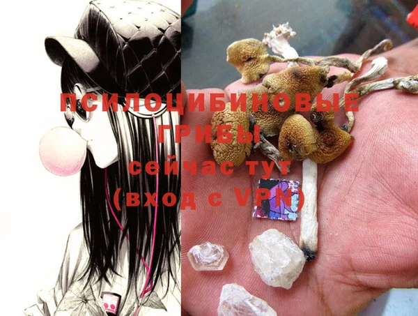 Альфа ПВП Кинешма