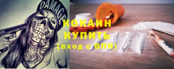 сатива Козловка