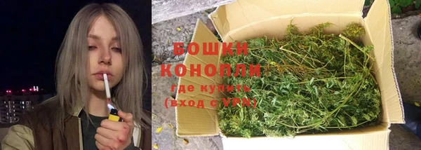 сатива Козловка