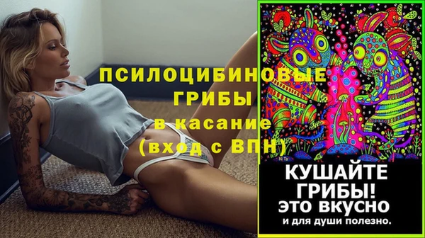 шишки Киренск