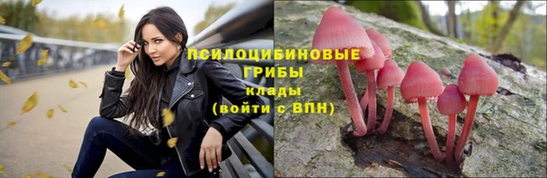 соль ск Кодинск