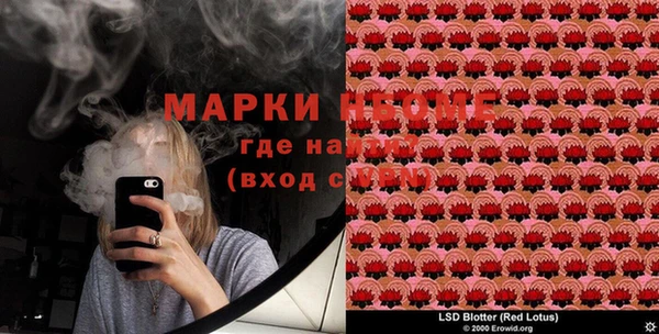 сатива Козловка