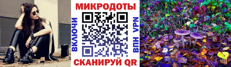 Псилоцибиновые грибы Psilocybe  Купить где  Североуральск 